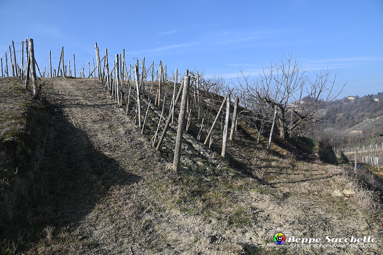 VBS_1099 - Santo Stefano Roero.jpg